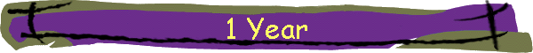 1 Year