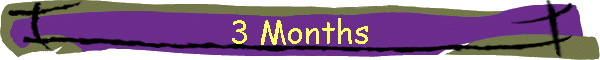 3 Months