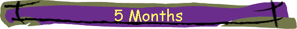 5 Months